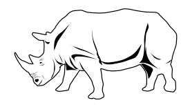 rhino