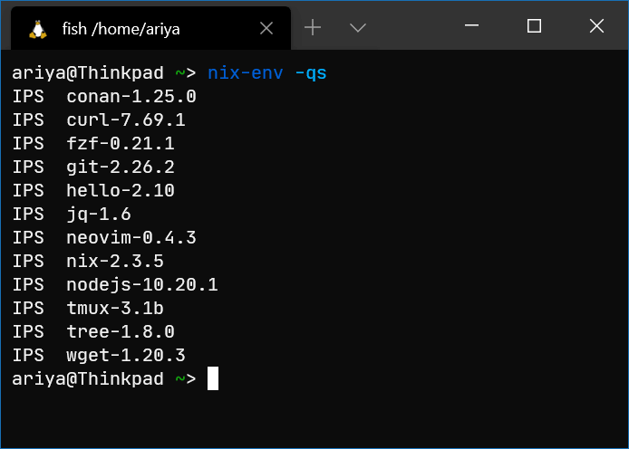 Nix Package Manager on Ubuntu or Debian ·